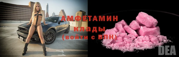 мдпв Гусев