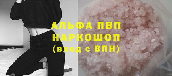 прущие грибы Чита