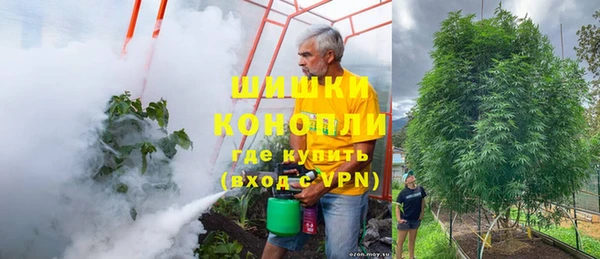 PSILOCYBIN Нижний Тагил