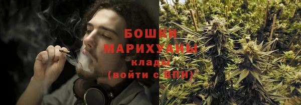ПСИЛОЦИБИНОВЫЕ ГРИБЫ Дмитровск