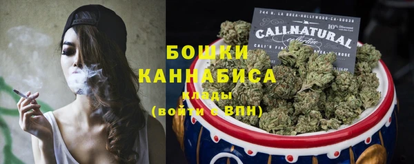 ПСИЛОЦИБИНОВЫЕ ГРИБЫ Дмитровск