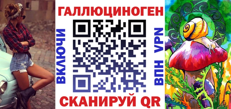дарнет шоп  Губкин  Псилоцибиновые грибы мицелий 